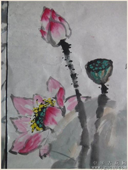 莲花是怎么从泥里出来的