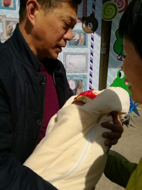爷爷的手掌