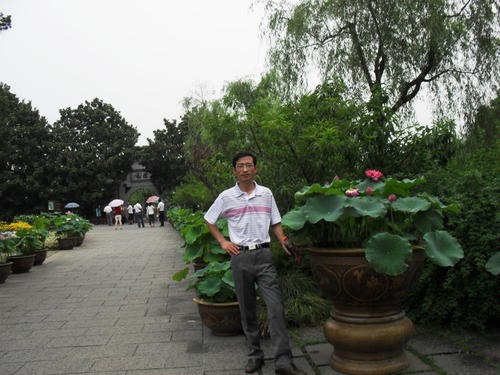 瘦西湖夏季游