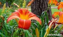 泥土，你太棒了