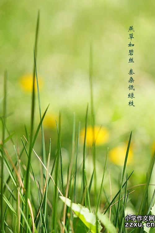 以笑为主题