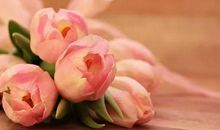 一页花事，一本慷慨