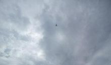 致深爱我的母亲