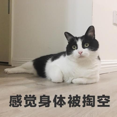 累和快乐
