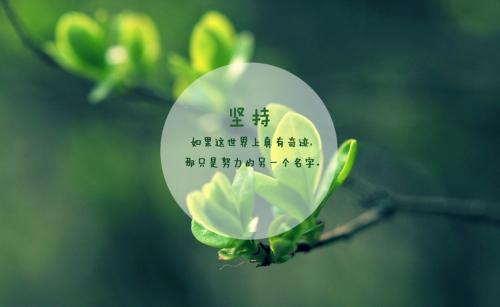 毅力可以取胜