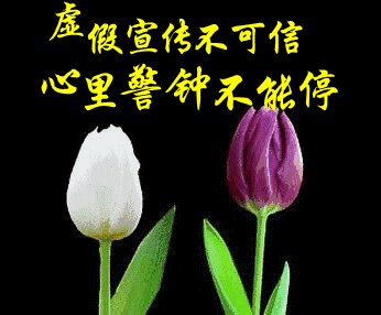 仁慈在我们身边
