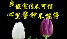 善心就在我们身边