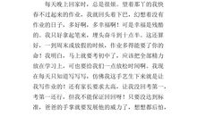 冬季运动会作文500字小学六年级