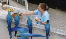 动物是人类的朋友