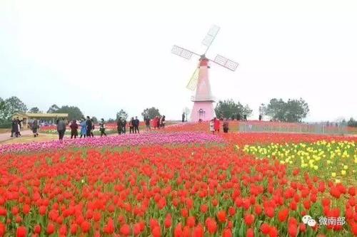 花舞四个季节