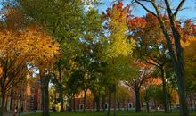 美丽多姿的校园