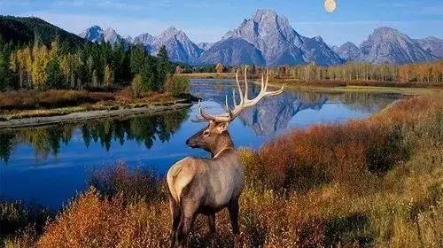 零散的时间，享受我美好的“发呆”时间