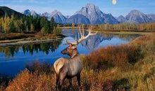 碎碎的时间，享受我美妙的“发呆”时光