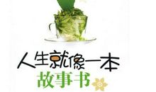 一本书的故事