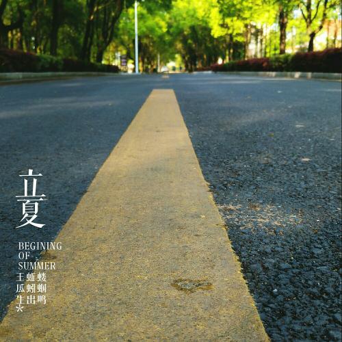 感受阳光