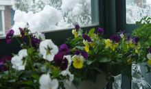 追寻让我如此美丽