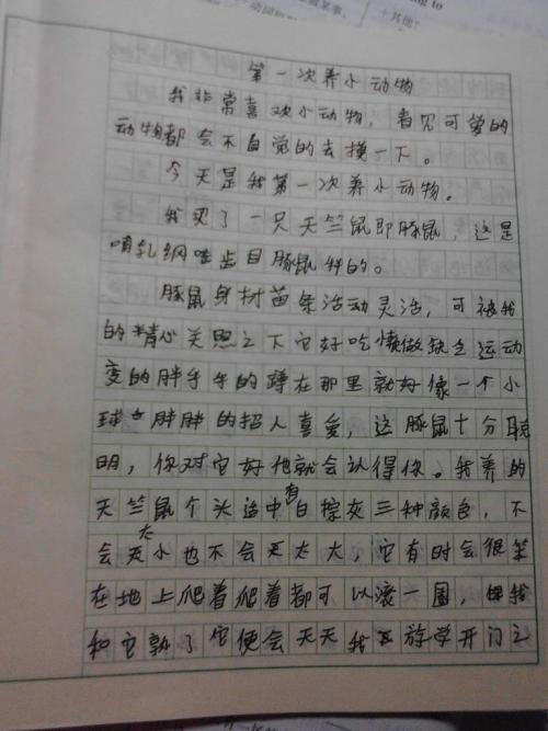 但是你没有半命题