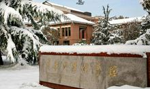 春夏秋冬的校园