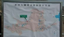 我眼中的大柳树