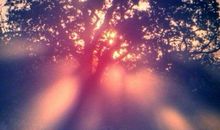 生活处处充满阳光