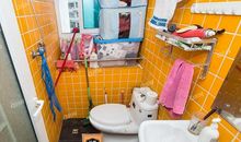 校园我成长的摇篮