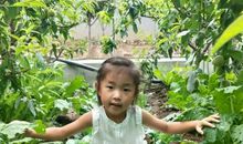 我的青春里有您相伴