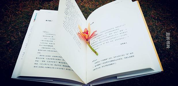 听这本书
