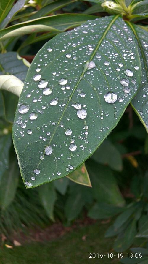 一点雨滴