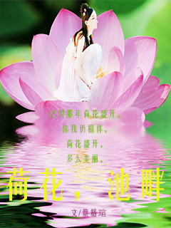 因为你我爱上了莲花