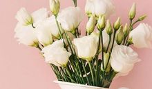 留在心中的那份温暖