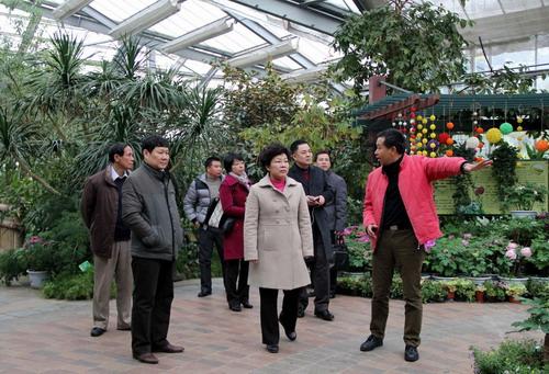 参观华南植物园