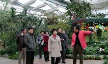 参观华南植物园