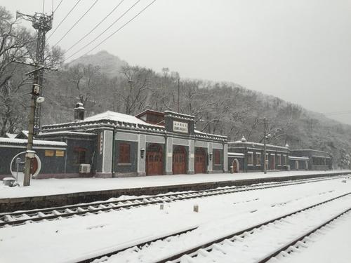 参观院子里的雪