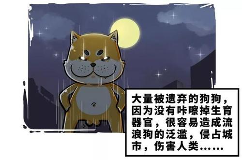 不应失去的责任心