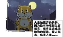 不该丢失的责任心