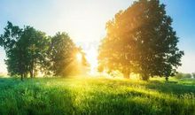 那一天阳光好温暖