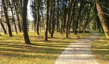 美丽的华南植物园