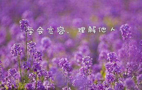 那时我学会了宽容