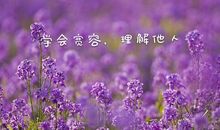 那一刻我学会了宽容