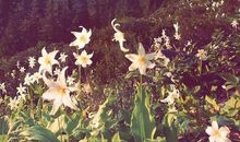 失去也是一种收获