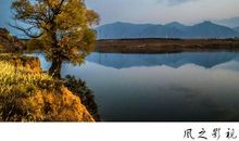 故乡那一片独美的风景