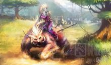 荆棘让我如此美丽