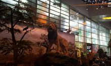 上海科技馆之旅