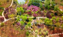 童年的白塘植物园