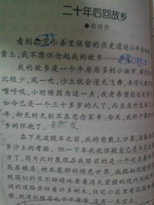 二十年后在我的家乡写了450字的五年级作文