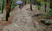 雨中登云龙山