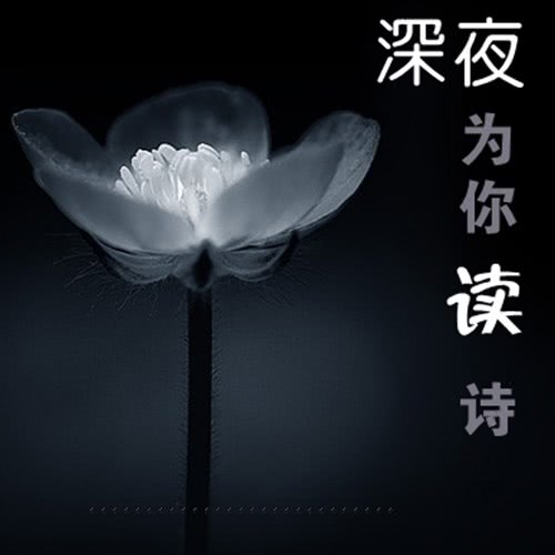 谈论最远的距离