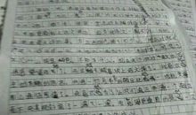 描写一个人的作文