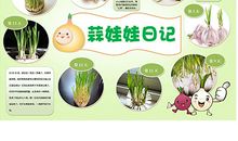 观察日记三则植物