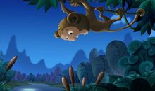 为月亮着迷的猴子